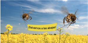 abejas