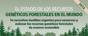 bosques_FAO