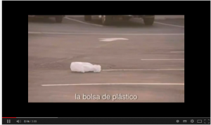 bolsa de plastico