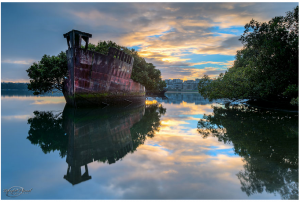 bosque flotante