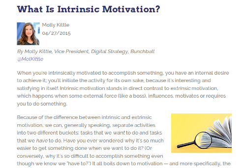 Intrinsic Motivation