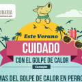 Golpe de calor en perros