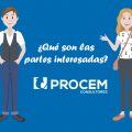 Procem consultores