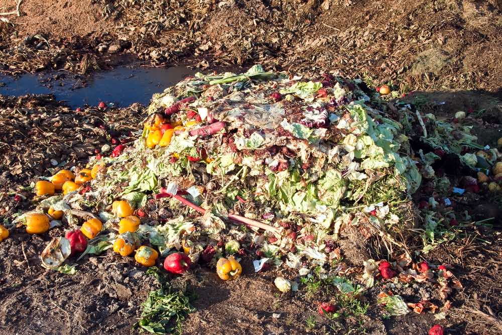 Cada vez tiramos más comida