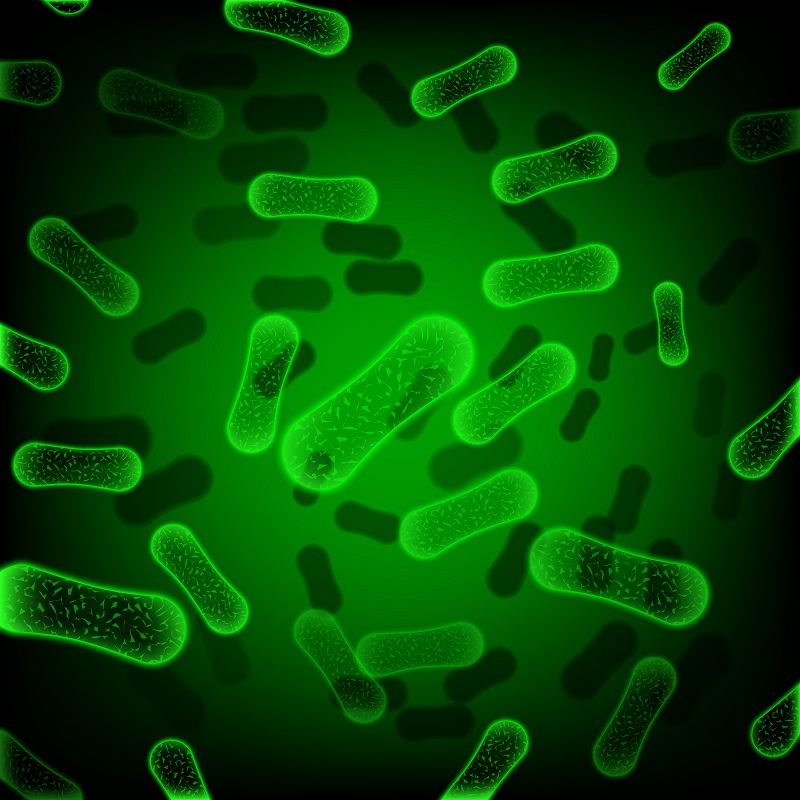 Las bacterias más resistentes