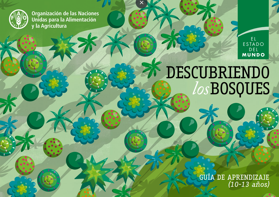 Descubriendo los bosques