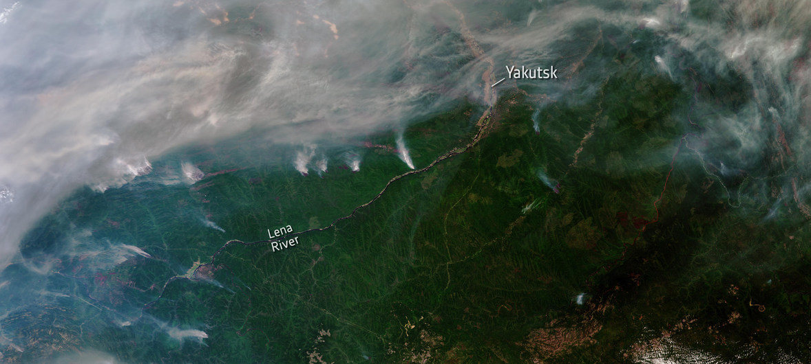 Incendios y cambio climático