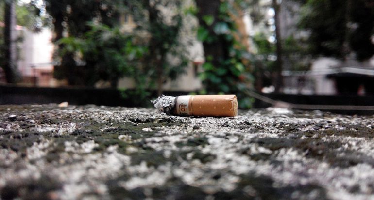 ¿Perjudica el tabaco al medio ambiente?