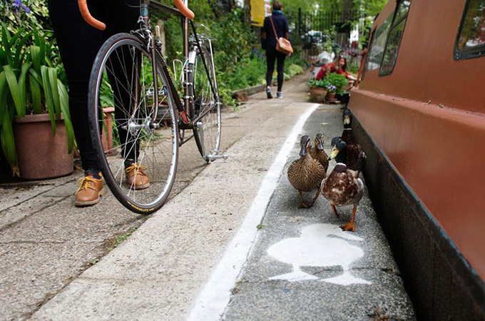 Canal reservado a patos