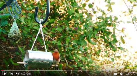 Comedero para pájaros