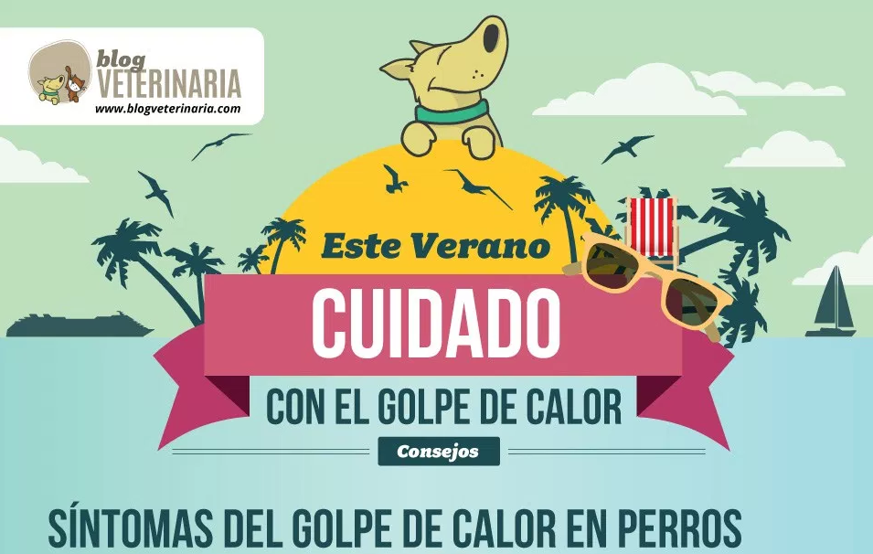 Golpe de calor en perros