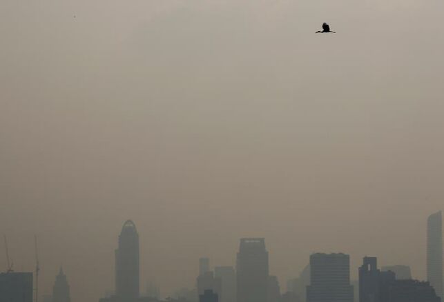 La contaminación mata